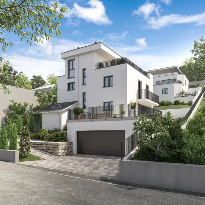 3D Visualisierung modernes Einfamilienhaus mit Garage und Garten